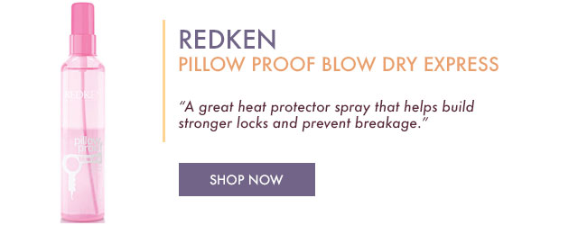 Redken Pillow Proof Blow Dry Express Primer