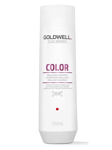 Goldwell DualSenses Colour Brilliance Shampoo (250ml)