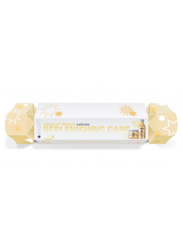 L'Oreal Professionnel Serie Expert Absolut Repair Lipidum Christmas Cracker