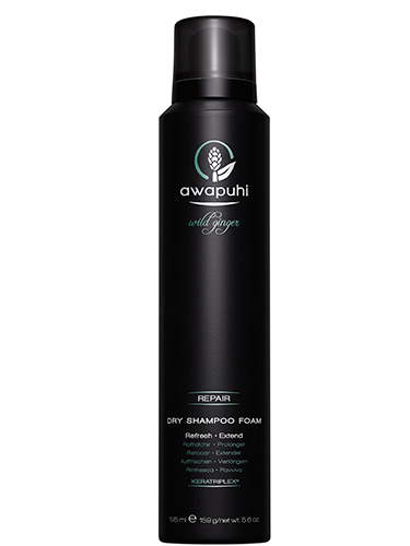 Paul Mitchell Awapuhi Wild Ginger Dry Shampoo Foam 195ml