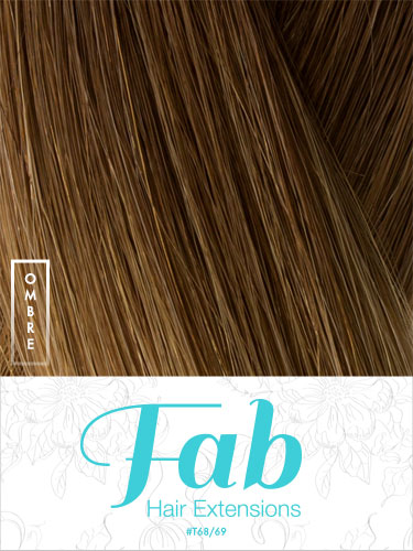 Fab Clip In One Piece Synthetic Hair Extensions - Straight #T68/69 18 inch