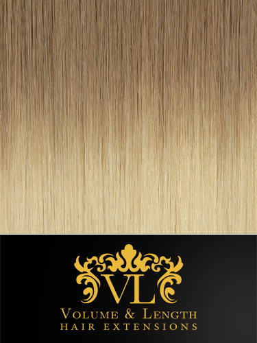 VL Remy Weft Human Hair Extensions #T10/24 22 inch 150g